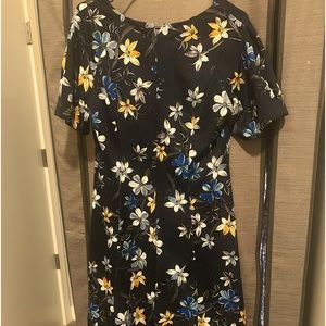 Beautiful dress rarely worn.